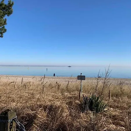 Moewennest * تيميندورفير ستراند